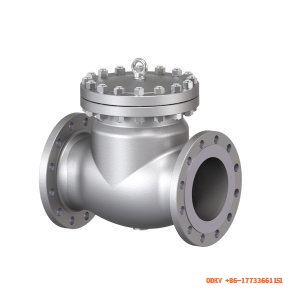 Check Valve